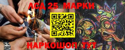 гашик Бийск