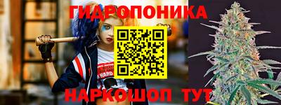 гашик Бийск