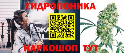 гашик Бийск