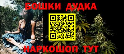 гашик Бийск