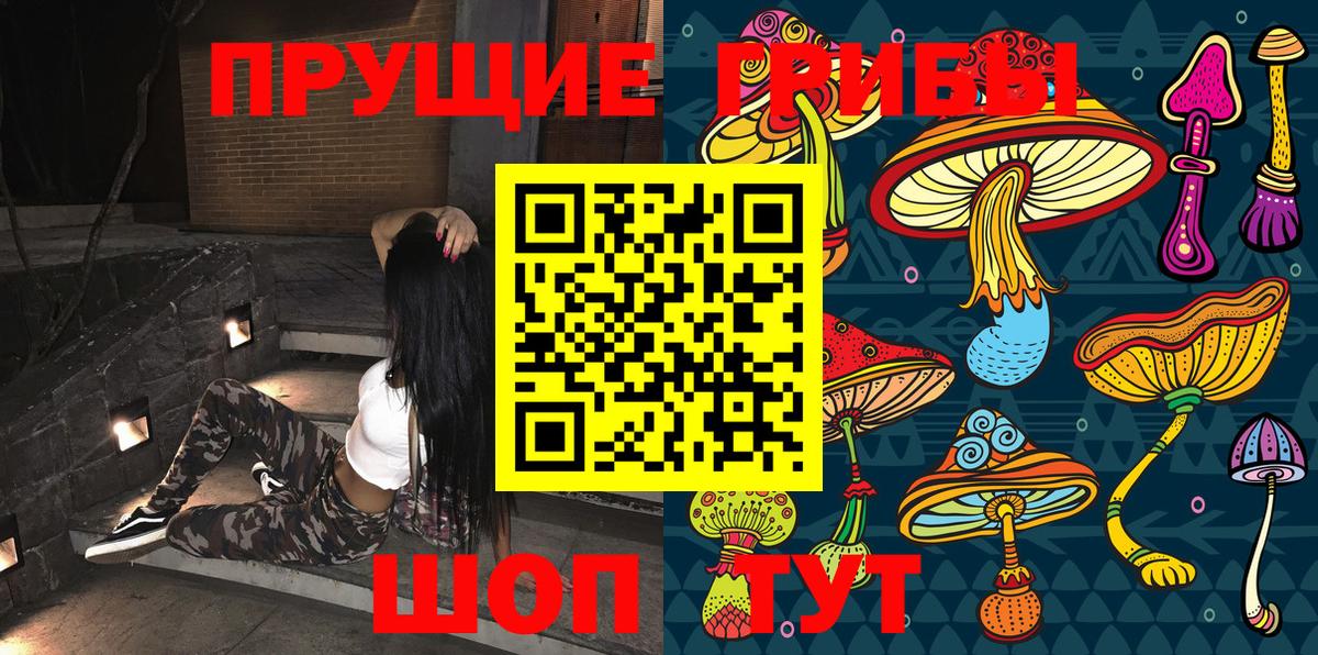 Вышний Волочёк  Псилоцибиновые грибы Magic Shrooms  Галлюциногенные грибы Psilocybine cubensis  Вход с VPN 